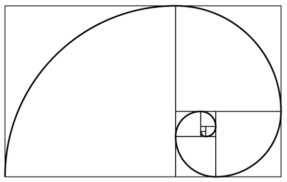 An approximation of the golden spiral created by drawing circular arcs connecting the opposite corners of squares in the Fibonacci tiling; this one uses squares of sizes 1, 1, 2, 3, 5, 8, 13, 21, and 34. Image via Wikipedia.