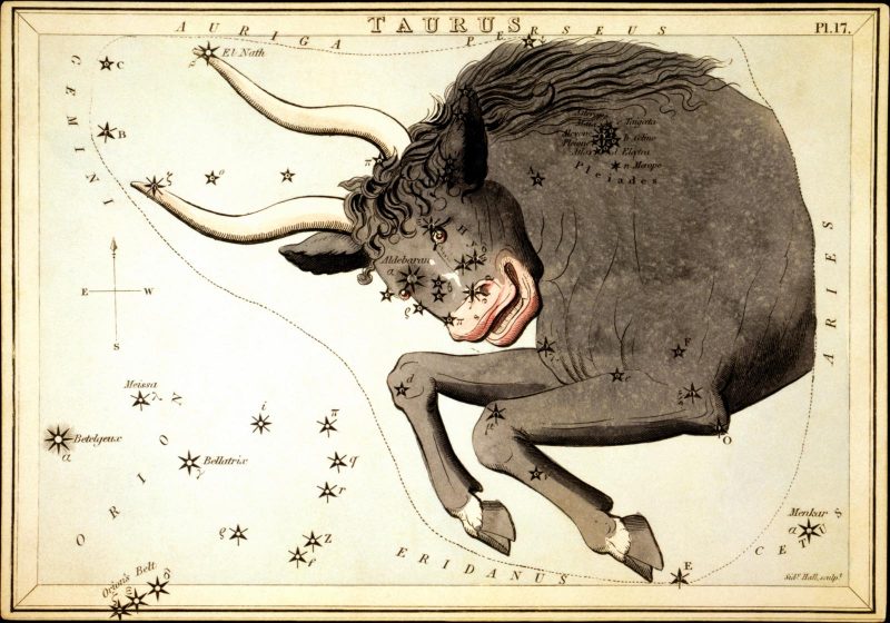 Antique etching of front half of a bull superimposed over a star chart with Aldebaran written on its face.