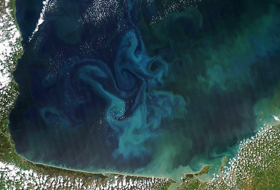 In April, 2013, NASA's Aqua satellite captured this true-color image of the dynamic growth of a springtime phytoplankton bloom in the Bay of Biscay, off the coast of France.  Read more about this image here.
