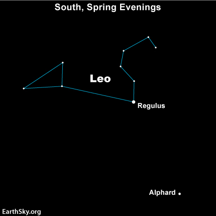Star chart showing constellation Leo with star Alphard below.