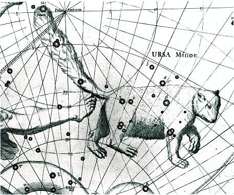 Constellation drawing of a bear with a long tail.