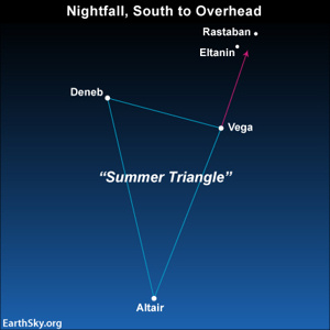 Star chart of summer triangle with line pointing to dragon's eyes stars.