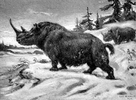 EarthSky | Ice Age humans: Did they affect the extinction of large mammals?