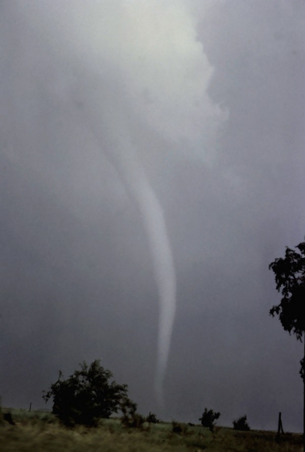 nssl0123