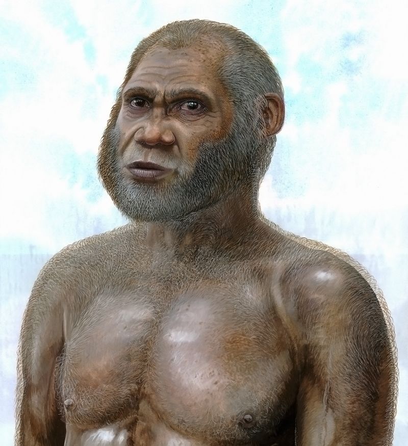 china_fossil