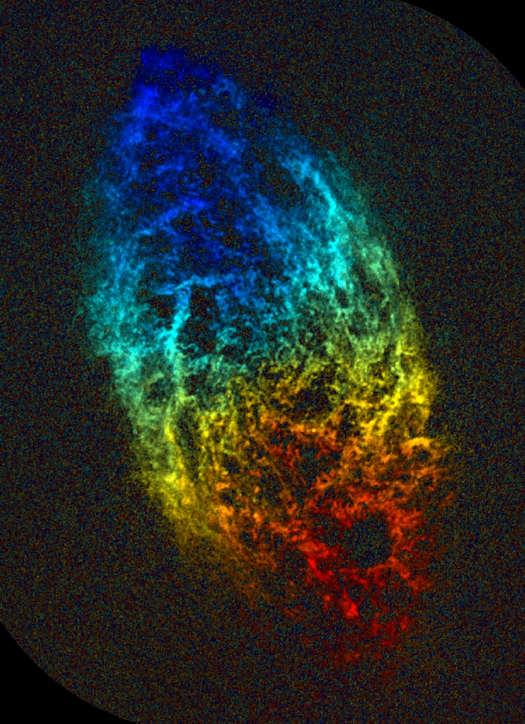 Radio map of oval galaxy M33 red on one end, blue on the other.