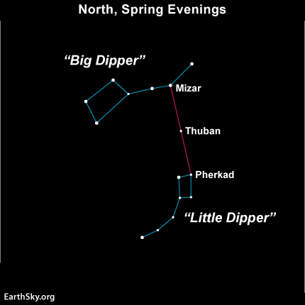 Diagram with Thuban in middle of line between Big and Little Dippers.