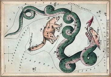 Antique color etching of long snake-like dragon with a bear to the side and stars.