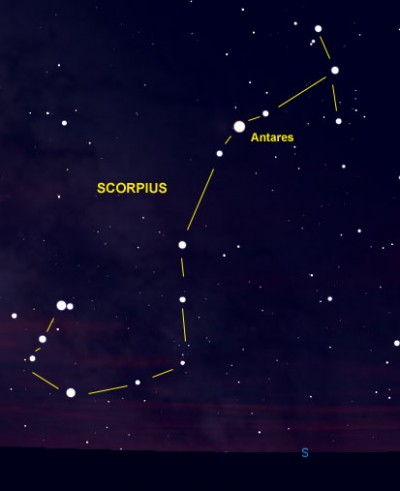 Scorpius is one of the few constellations that looks like its namesake.  The bright red star Antares marks the Scorpion's Heart.  Notice also the two stars at the tip of the Scorpion's Tail.  They are known as The Stinger.