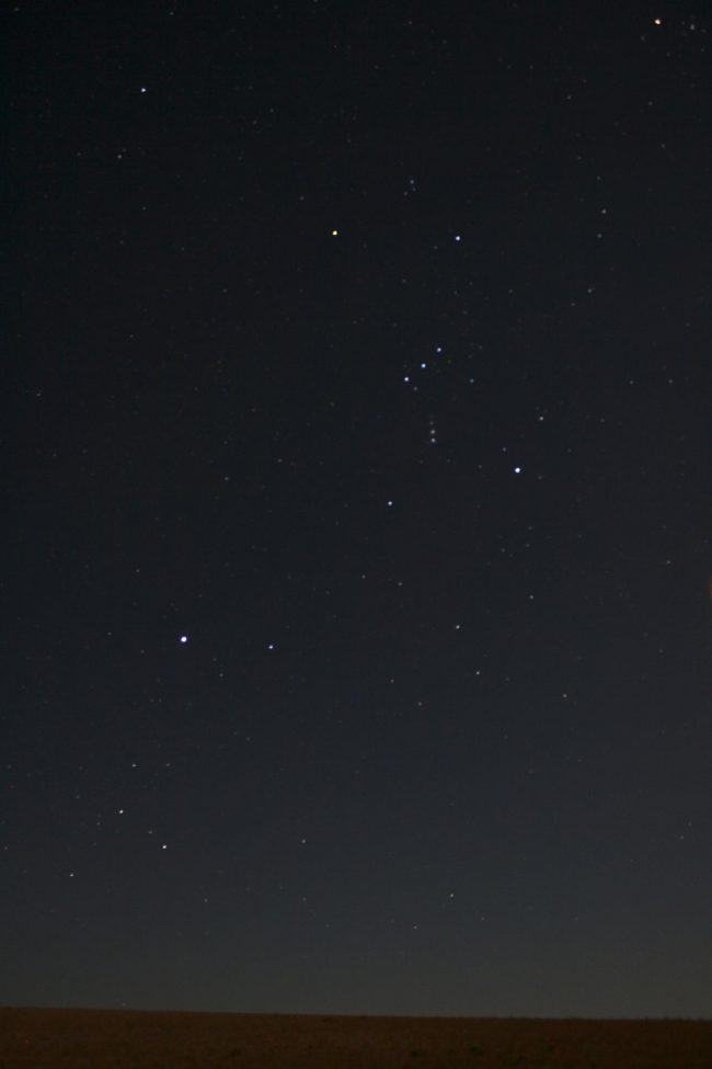 Black sky with a number of extra-bright stars including Orion.