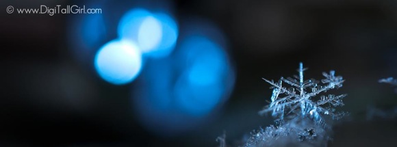 Spiky flake with out of focus blue lights in background.