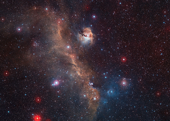 Wide-field view of the entire Seagull Nebula (IC 2177)