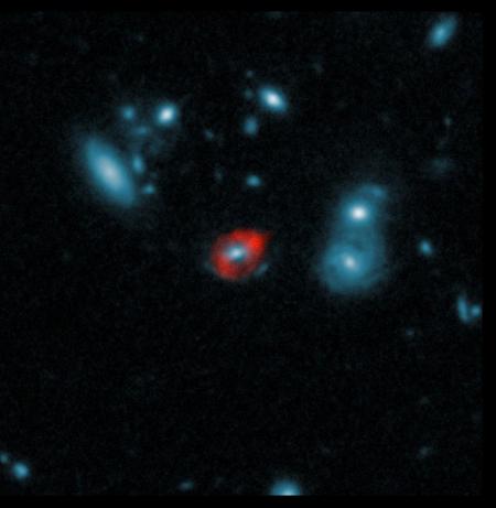 One of the SPT-discovered sources observed by ALMA and the Hubble Space Telescope (HST). The massive central galaxy (in blue, seen by HST) bends the light from a more distant galaxy that's bright in submillimeter wavelengths, forming a ring-like image of the background galaxy, which is observed by ALMA (red). Credit: ALMA (ESO/NRAO/NAOJ), J. Vieira et al.