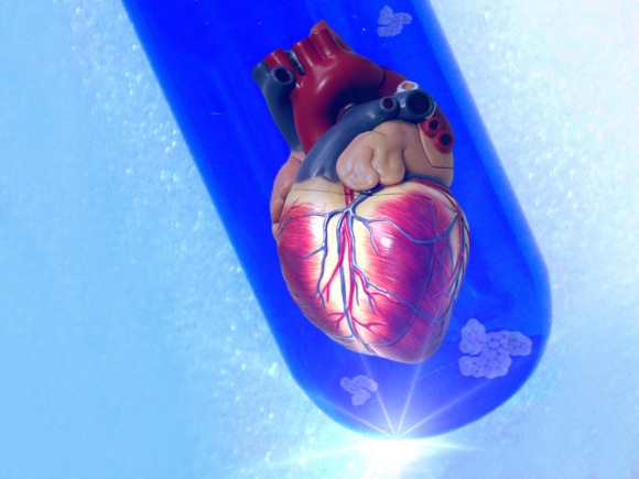 Cardiogenese_Bild_1_cut