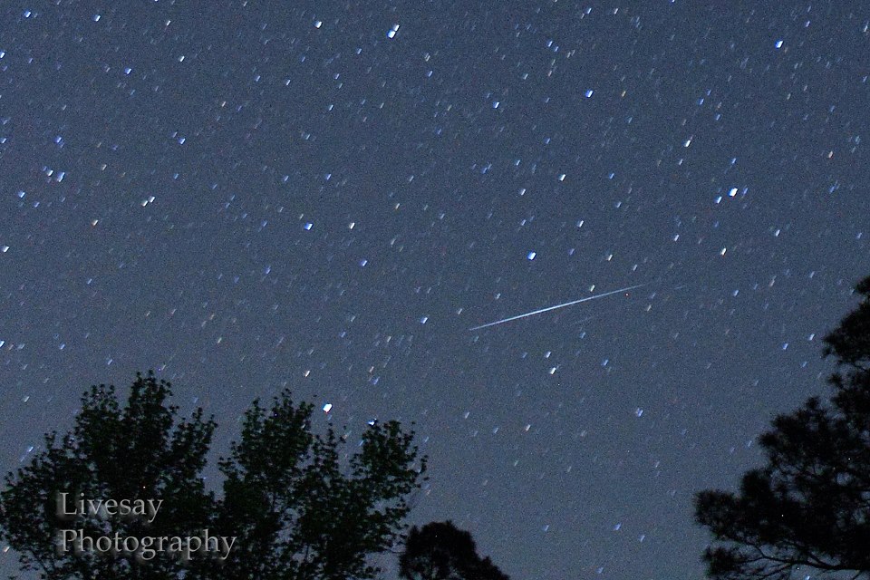 From EarthSky Facebook friend Guy Livesay. He wrote, ' Didn't see many Lyrids on the 21st or 22nd in Eastern NC. This is from the 21st. There's actually 2 in this shot very close together.'