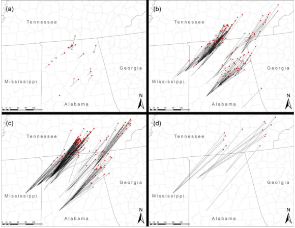 Tracks of debris objects that traveled a) 250km Image Credit: Knox et al.