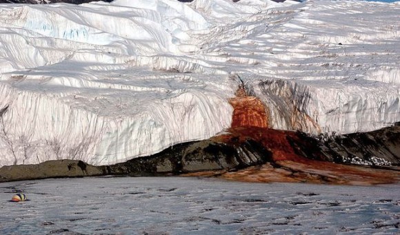 Blood Falls sipprar in i Lake Bonney. Ett tält kan ses längst ner till vänster för storleksjämförelse. Foto från United States Antarctic Program Photo Library.