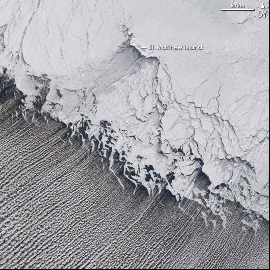 Cloud streets: Thin parallel lines of clouds extending from ice shelf in black-and-white orbital photo.