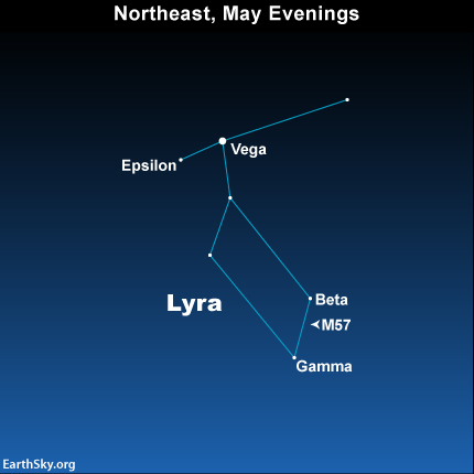 The stars of Lyra