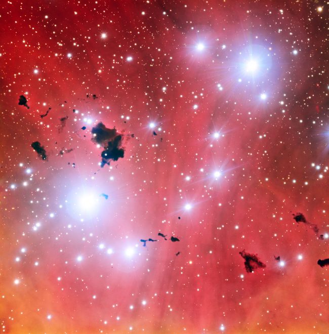 Pink cloudy space with many bright stars and small, irregular black globules.