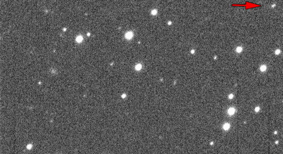 Asteroid 2013 MZ5 as seen by the University of Hawaii's PanSTARR-1 telescope. In this animated gif, the asteroid moves relative to a fixed background of stars. Image credit: PS-1/UH