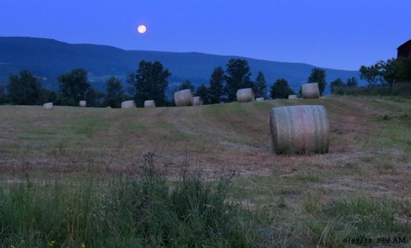 Good-bye Super Moon. Last night's Full Moon sets in the West early this morning just before the Sunrise. Schoharie County, New York Photo credit: Pat Quinn
