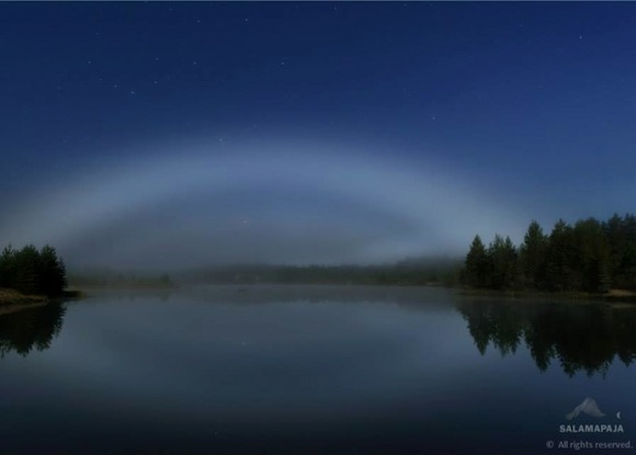 White arc in dark blue sky reflected in a lake bordered by evergreen trees.
