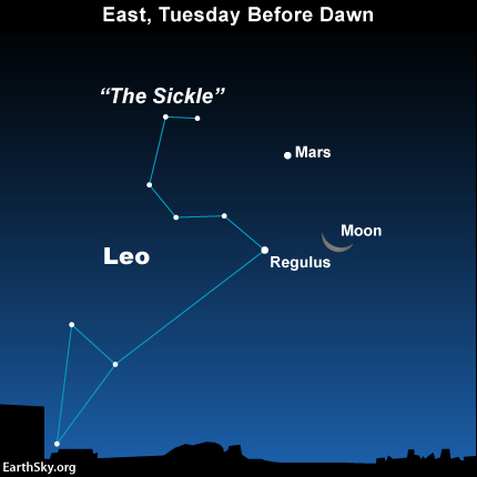 Want to see Mars on October 1? It'll be easy, if you get up early and have a clear view to the east. The waning crescent moon will be near Mars in the predawn sky. Read more about the moon and Mars on October 1.