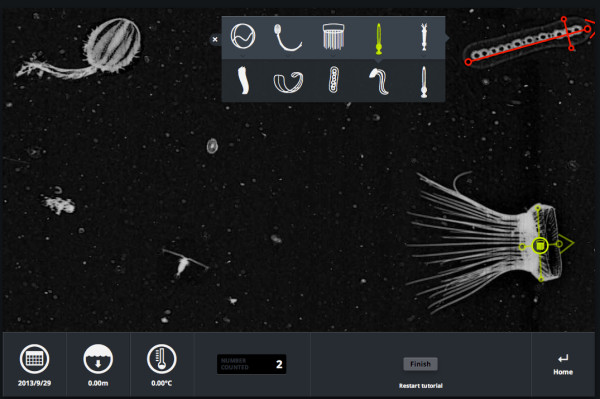 The Plankton Portal tutorial using real images from ISIIS. Image credit: Plankton Portal, Zooniverse.org.