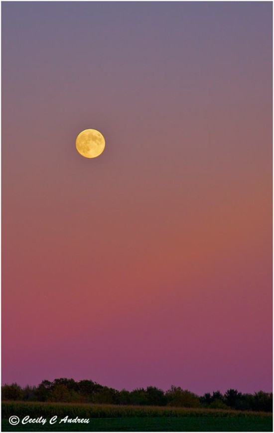 Beautiful shot of the September 18, 2013 Harvest Moon from Cecily Andreu in Rochester, NY. She wrote: 