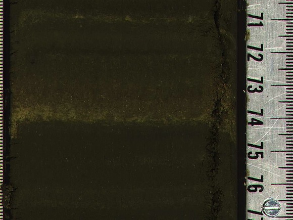 dolomite-within-siliceous-algae