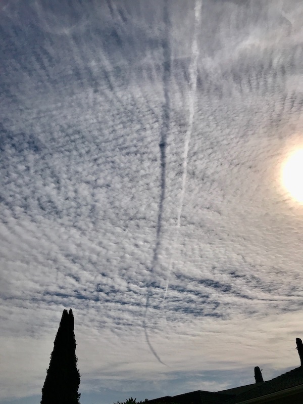 Cirrocumulus overcast sky with vertical jet contrail and its shadow, half sun at the right and a tree at the bottom. 