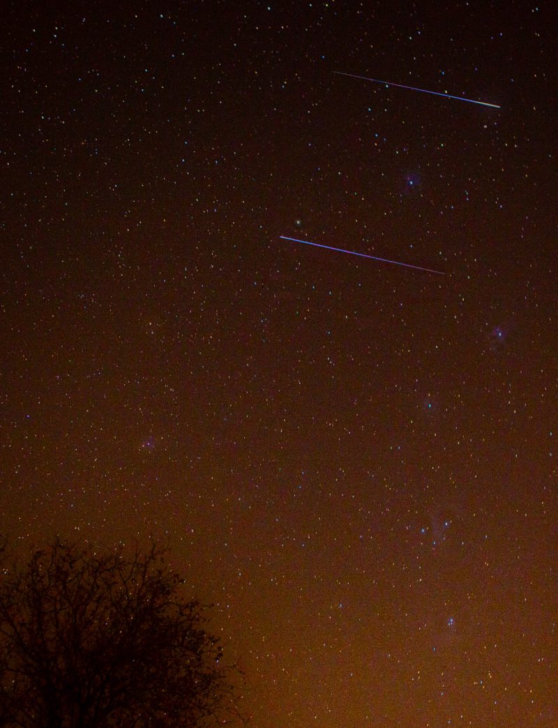 Leonid meteors via Henry Shaw/SummersMagic Photography.