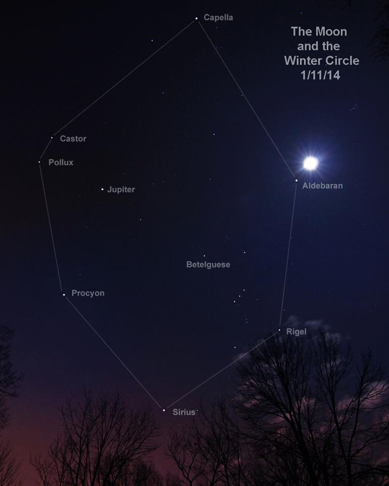 Night sky over treetops with lines between bright stars, moon and Orion visible.