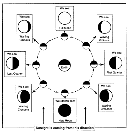 Diagram of moon in orbit around Earth with phases for 8 positions.