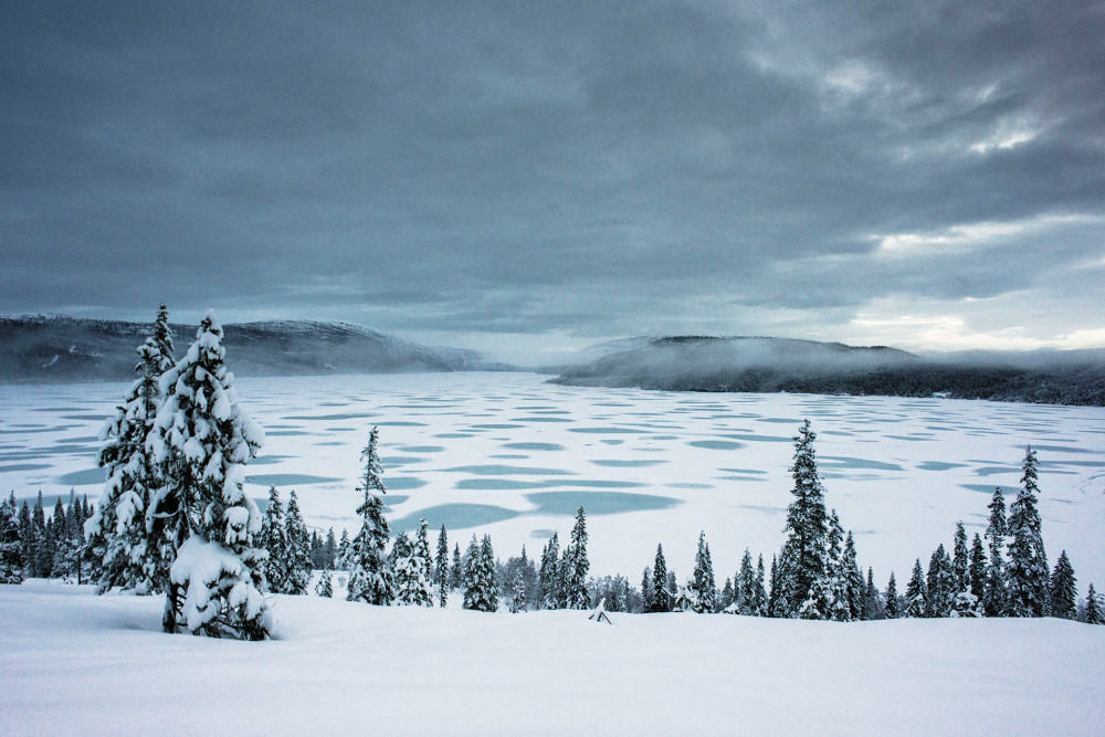 View larger. | Winter light image by Jan Inge Larsen in northern Norway.