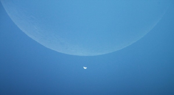 It was morning, and the sky was blue, when the occultation of Venus began over Bangalore, India.  February 26, 2014 Venus occultation by the moon.  Photo by Ravindra Aradhya in Bangalore, India.
