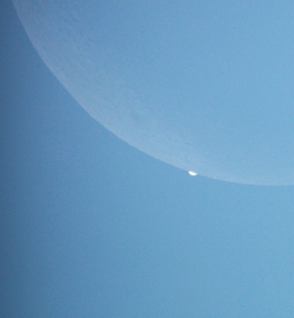 Now Venus is barely visible at the limb of the moon. February 26, 2014 Venus occultation by the moon.  Photo by Ravindra Aradhya in Bangalore, India.