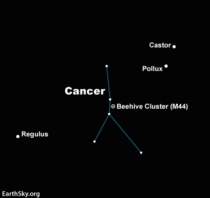 Diagram of constellation Cancer with location of Beehive cluster marked.
