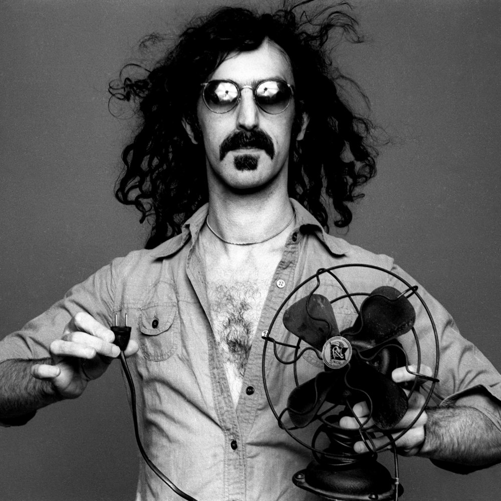 The legendary Frank Zappa, now with his own bacterium