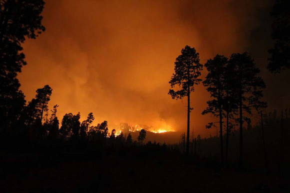 The Las Conchas Fire burned 150,874 acres in New Mexico in 2011. The wildfire was one of hundreds of fires looked at in a new study that found large wildfires in the western U.S. have increased in number and size over the past 30 years. Credit: Jayson Coil