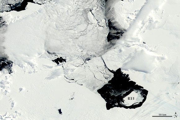 The ice island B31 - __ square miles in diameter (over 600 square kilometers) - broke away from Pine Island Glacier in November 2013.