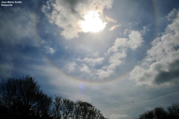 Brilliant sun with halo among puffy clouds over treetops.