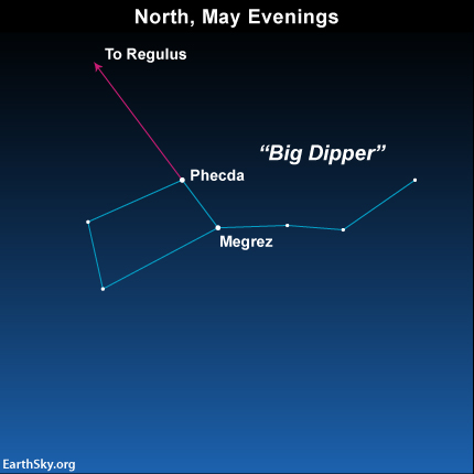 The Big Dipper bowl stars Megrez and Phecda serve as your faithful pointer stars to Regulus, the heart star of Leo the Lion.
