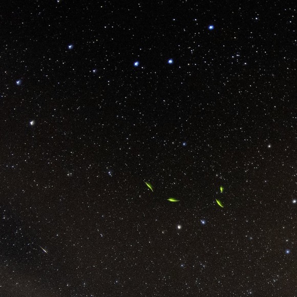 Dale Forest caught some fireflies while waiting to see the Camelopardalid meteor shower, too.  He wrote: 