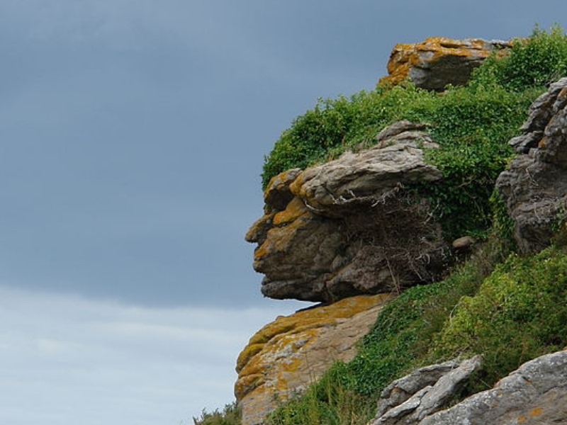 Rock formation looking exactly like a man's face in profile with green vegetation hair.