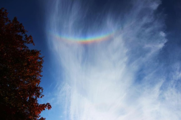 Short arc in partly cloudy sky with tree on left.