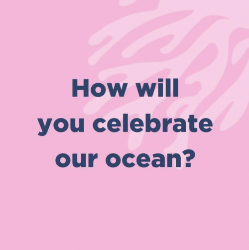 A pink poster asking, 'How will you celebrate our ocean?'