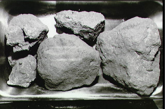 Five irregular gray rocks of different sizes.