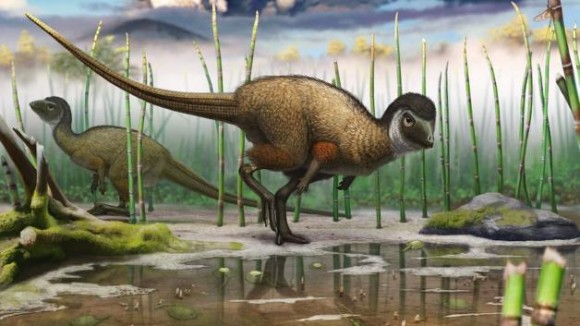 Artist's illustration of the feathered dinosaur Kulindadromeus zabaikalicus based on fossils discovered in Siberia. Image credit: Andrey Atuchin